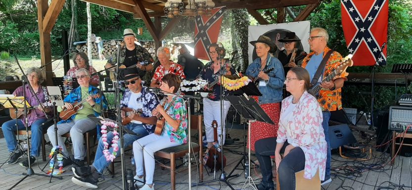 Ukulele Country Band